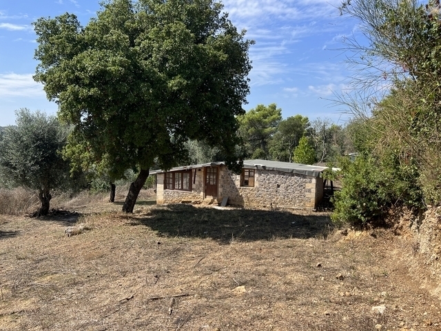 (Verkauf) Nutzbares Land Ackerland  || Corfu (Kerkira)/Faiakes - 6.000 m², 70.000€ 